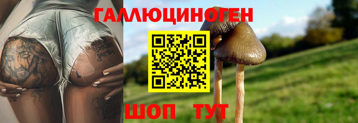 Псилоцибиновые грибы GOLDEN TEACHER Сосновоборск